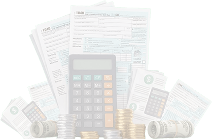 Professional tax preparation services